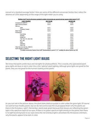 Page 14
convert at a standard average factor). Here are some of the different conversion factors (but, notice the
absence of LEDs) depending on the range of the light meter you're using:
seleCTIng The rIghT lIghT bulbs
We know that plants prefer blue and red lights for photosynthesis. This is exactly why specialized plant
grow lights are blue or red in color; this is the "optimal" plant lighting. Although grow lights are great for the
plants, they are not great for the humans looking at the plants:
As you can see in the picture above, the plant looks black or purple in color under the grow light. Of course
we want to have healthy plants, but we do not want to lose the visual appeal (that's why the plants are
there in the first place, right?). Remember, plants look green because their leaves are reflecting the green
light in the spectrum back to our eyes. If there is no green spectrum light shining on the plants then there
is no light bouncing back to our eyes (since the red and blue light is absorbed into the leaves) and that's
why the plants appear to be dark in color.
 