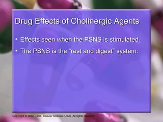 Copyright © 2002, 1998, Elsevier Science (USA). All rights reserved.
Drug Effects of Cholinergic AgentsDrug Effects of Cholinergic Agents
• Effects seen when the PSNS is stimulated.Effects seen when the PSNS is stimulated.
• The PSNS is the “rest and digest” system.The PSNS is the “rest and digest” system.
 