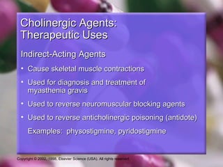 Copyright © 2002, 1998, Elsevier Science (USA). All rights reserved.
Cholinergic Agents:Cholinergic Agents:
Therapeutic UsesTherapeutic Uses
Indirect-Acting AgentsIndirect-Acting Agents
• Cause skeletal muscle contractionsCause skeletal muscle contractions
• Used for diagnosis and treatment ofUsed for diagnosis and treatment of
myasthenia gravismyasthenia gravis
• Used to reverse neuromuscular blocking agentsUsed to reverse neuromuscular blocking agents
• Used to reverse anticholinergic poisoning (antidote)Used to reverse anticholinergic poisoning (antidote)
Examples: physostigmine, pyridostigmineExamples: physostigmine, pyridostigmine
 