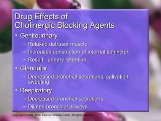 Copyright © 2002, 1998, Elsevier Science (USA). All rights reserved.
Drug Effects ofDrug Effects of
Cholinergic Blocking AgentsCholinergic Blocking Agents
• GenitourinaryGenitourinary
– Relaxed detrusor muscleRelaxed detrusor muscle
– Increased constriction of internal sphincterIncreased constriction of internal sphincter
– Result: urinary retentionResult: urinary retention
• GlandularGlandular
– Decreased bronchial secretions, salivation,Decreased bronchial secretions, salivation,
sweatingsweating
• RespiratoryRespiratory
– Decreased bronchial secretionsDecreased bronchial secretions
– Dilated bronchial airwaysDilated bronchial airways
 