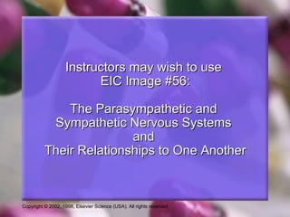 Copyright © 2002, 1998, Elsevier Science (USA). All rights reserved.
Instructors may wish to useInstructors may wish to use
EIC Image #56:EIC Image #56:
The Parasympathetic andThe Parasympathetic and
Sympathetic Nervous SystemsSympathetic Nervous Systems
andand
Their Relationships to One AnotherTheir Relationships to One Another
 