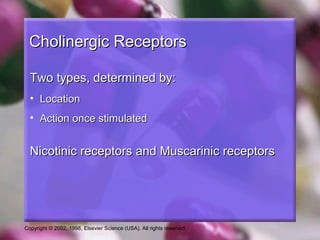 Copyright © 2002, 1998, Elsevier Science (USA). All rights reserved.
Cholinergic ReceptorsCholinergic Receptors
Two types, determined by:Two types, determined by:
• LocationLocation
• Action once stimulatedAction once stimulated
Nicotinic receptors and Muscarinic receptorsNicotinic receptors and Muscarinic receptors
 