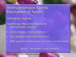 Copyright © 2002, 1998, Elsevier Science (USA). All rights reserved.
Antihypertensive Agents:Antihypertensive Agents:
Mechanism of ActionMechanism of Action
Adrenergic AgentsAdrenergic Agents
Adrenergic Neuronal BlockersAdrenergic Neuronal Blockers
(peripherally acting)(peripherally acting)
• Inhibit release of norepinephrineInhibit release of norepinephrine
• Also deplete norepinephrine storesAlso deplete norepinephrine stores
• SNS (peripheral adrenergic nerves) is not stimulatedSNS (peripheral adrenergic nerves) is not stimulated
Result: decreased blood pressureResult: decreased blood pressure
 