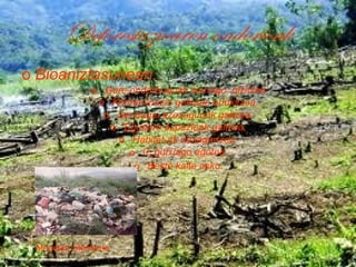 Deforestazioaren ondorioak Bioaniztasunean : Gure ondorengoak txarrago  bizitzea Kontaminazio gehiago edukitzea. Sendagai ezezagunak galtzea. Egunero espezieak galtzea. Habitat - ak desagertzea. 0 2  gutxiago egotea. Beste kalte asko. Mendian zikinkeria 