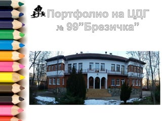 Портфолио на Брезичка