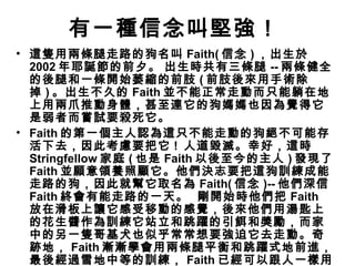 有一種信念叫堅強！   這隻用兩條腿走路的狗名叫 Faith( 信念 ) ，出生於 2002 年耶誕節的前夕。   出生時共有三條腿 -- 兩條健全的後腿和一條開始萎縮的前肢 ( 前肢後來用手術除掉 ) 。出生不久的 Faith 並不能正常走動而只能躺在地上用兩爪推動身體，甚至連它的狗媽媽也因為覺得它是弱者而嘗試要殺死它。 Faith 的第一個主人認為這只不能走動的狗絕不可能存活下去，因此考慮要把它 !  人道毀滅。幸好，這時 Stringfellow 家庭 ( 也是 Faith 以後至今的主人 ) 發現了 Faith 並願意領養照顧它。他們決志要把這狗訓練成能走路的狗，因此就幫它取名為 Faith( 信念 )-- 他們深信 Faith 終會有能走路的一天。  剛開始時他們把 Faith 放在滑板上讓它感受移動的感覺，後來他們用湯匙上的花生醬作為訓練它站立和跳躍的引餌和獎勵，而家中的另一隻哥基犬也似乎常常想要強迫它去走動。奇跡地， Faith 漸漸學會用兩條腿平衡和跳躍式地前進，最後經過雪地中等的訓練， Faith 已經可以跟人一樣用兩腿步行，中間也就只花了不用六個月的時間。   