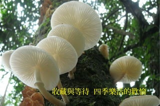 收藏與等待 四季樂活的歡愉
 