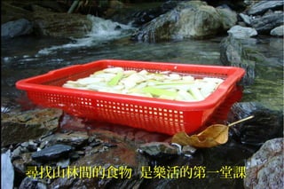 尋找山林間的食物 是樂活的第一堂課
 