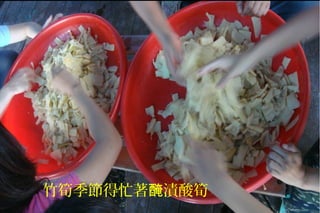 竹筍季節得忙著 漬酸筍醃
 