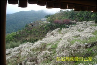 在這裡就像自己家
 