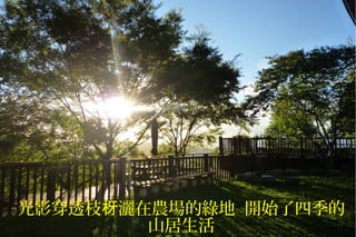 光影穿透枝 灑在農場的綠地 開始了四季的枒
山居生活
 