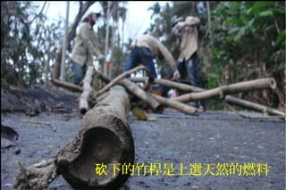 下的竹桿是上選天然的燃料砍
 