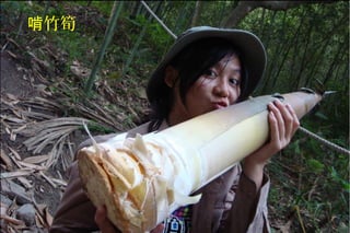 竹筍啃
 