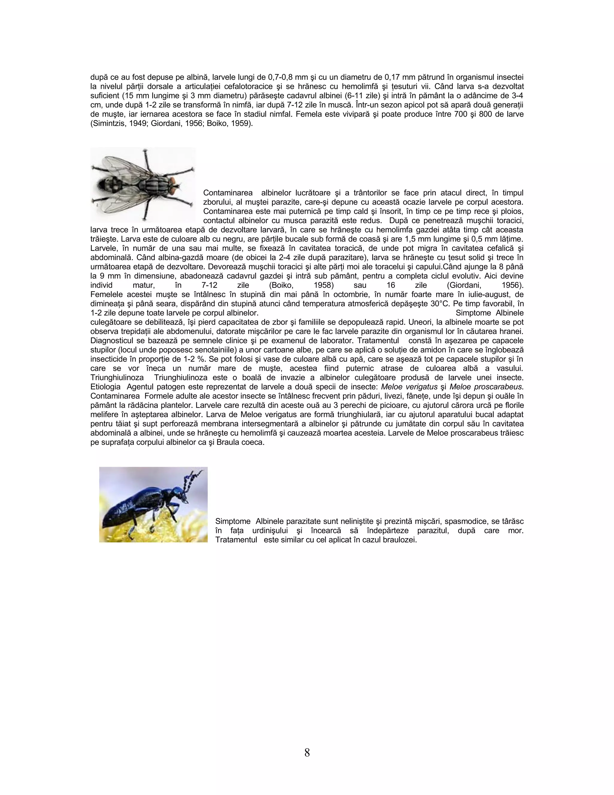 99179955 manual-de-apicultura-1 | PDF