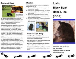 Idaho
Black Bear
Rehab, Inc.
(IBBR)
Idaho Black Bear Rehab, Inc.
6097 Arney Lane
Garden City, Idaho 83714, USA
www.bearrehab.org
Mission
To give all orphaned cubs a second chance at a life of
freedom in the wild by:
• Rescuing, rehabilitating and releasing orphaned
cubs whenever possible.
• Instituting bear rehabilitation programs and training
rehabilitators in states where the option currently
does not exist.
• Working with state wildlife agencies to establish
black bear rehabilitation as a standard part of their
wildlife management policies.
• Educating the public about black bear rehabilitation
and our shared responsibility to protect wild bears
and their habitat.
Idaho Black Bear Rehabilitation,Inc. is a
not-for-profit charity with 501 (c)(3) status. All
contributions are tax-deductible.
IBBR depends on the generosity of the general
public and the local community.
Won’t you please consider a cash donation
to help with the care of the cubs?
Visit www.bearrehab.org, or mail your donation
to IBBR, 6097 Arney Lane, Garden City, Idaho
83714.
How You Can Help
Orphaned Cubs
Many bears cubs
become orphans
when their mothers
are killed during spring bear hunts. Others have
become injured in accidents or abandoned by their
mothers for unknown reasons. Without intervention,
many of these bears face certain death from
starvation, predation, or euthanasia.
Rehabilitation of bears can never take a “one size fits
all” approach. Besides providing for a variety of
physical needs, such as those facing newborns,
malnourished, injured, or cubs fighting disease,
support for emotional trauma, or inquisitive and active
minds, care must be customized for each and every
cub. IBBR is well known for adapting rehabilitation
techniques and facilities to fit the needs of individual
bears.
Rehabilitation of bear cubs has a positive impact on
the public perception of wildlife management
practices. Stories of individual cubs can be used to
build public understanding and support for biodiversity,
habitat protection and positive human-wildlife
interactions. Methodology used for American black
bear rehabilitation and release can be applied and
adapted to programs working with threatened and
endangered species of bear around the world.
 