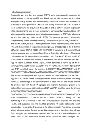 10
Heterologous expression
Drosophila Nan and Iav, and mouse TRPV4 were heterologously expressed as
fusion proteins containing AcGFP and FLAG tags at their carboxyl termini. Initial
attempts to stably express Nan and Iav using conventional plasmid vectors failed due
to toxicity of these proteins to CHO-K1 cells during incubation at 37o
C, but not at
room temperature. To circumvent this problem and to achieve uniform expression
while maintaining the cells at room temperature, we transiently transduced them with
adenoviruses (for precedence for a heterologous expression of TRPVs by adenoviral
transduction, see e.g. Iwata et al., 2009). To generate expression constructs,
complementary DNAs (cDNAs) encoding Drosophila nan (NCBI NM_001274904.1)
and iav (NCBI NM_132125.1) were synthesized by Life Technologies (Grand Island,
NY), with the addition of sequences encoding FLAG antibody tags at the C-termini.
cDNA for mouse TRPV4 (NCBI NM_001274904.1) containing a C-terminal FLAG
epitope sequence was purchased from Origene (Rockville, MD). Insect cDNAs were
codon-optimized for expression in mammalian cells. The Nan-FLAG and Iav–FLAG
cDNAs were subcloned into the Bgl II and HindIII sites of the modified pAcGFP1-
Hyg-N1 vector (Clontech, Kyoto, Japan), which contained a FLAG tag at the C-
terminus of the AcGFP moiety (pAcGFP1-Hyg-N1-FLAG). The mTRPV4-FLAG cDNA
was PCR amplified using the primers 5’-GGACTTTCCAAAATGTCG-3’ and 5’-
CCGGCCGTTTATCACTACAGAATTCGAAGCTTAACCTTATCGTCGTCATCCTTGT
A-3’, subsequently digested with BglII and HindIII, and sub-cloned into the pAcGFP1-
Hyg-N1-FLAG vector. These cloning procedures added an AcGFP protein flanked by
two FLAG epitope tags to the carboxyl termini of each nan, iav and mouse TRPV4.
To produce Nan with fused HA epitopes and mCherry fluorescent protein at its
carboxyl terminus, codon-optimized nan cDNA was PCR amplified using the primers
5’-GCTGGTTTAGTGAACCGTCAG-3’ and 5’-
CCGCGGTACCGTCGACTGCAGAATTCGAAGCTTAGCGTAATCTGGAACATCGTA
TGGGTAGAAGTTGTTGTTGTCGCTGCACTCGGACTTGGG-3’, adding an HA
epitope tag to the C-terminus of nan. The PCR product was digested with XhoI and
HindIII, and subcloned into the modified pmCherry-N1 vector (Clontech), which
contained an HA tag at the C-terminus of the mCherry moiety. This cloning procedure
added mCherry protein flanked by two HA epitope tags to the C-terminus of nan.
Epitope-tagged nan and iav were digested with XhoI and NotI and subcloned to the
same sites of the adenovirus shuttle vector pENTCMV1-TetO (Welgen Inc.,
 