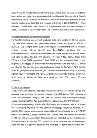 12
respectively. To monitor changes of membrane potential, the cells were loaded for 2
hours with a proprietary membrane potential dye (Molecular Devices, Cat # R8042)
dissolved in HBSS. To study the effects of calcium on membrane potential, the dye
loading solution was discarded and replaced with 50 ul of 20mM HEPES, 11.1mM
Glucose, 125mM NaCl, and 2.5mM KCl, supplemented with indicated amounts of
CaCl2. Fluorescence was monitored at 510-545 nm/565-625 nm excitation/emission.
Western blotting and co-immunoprecipitation
For Western blotting, adenovirus-transduced cells were seeded on 35 mm dishes.
The cells were washed with phosphate-buffered saline and lysed in 300 μl of
NuPAGE LDS sample buffer (Life Technologies) supplemented with a protease
inhibitor cocktail (Sigma Aldrich) and TurboDNAse (Ambion). For co-
immunoprecipitation, adenovirus-transduced cells were seeded on 90-mm dishes
and lysed in 50mM HEPES, 10% glycerol, 1% Triton-X-100, 100mM NaCl, 1mM
EDTA, and 1mM EGTA, containing 0.5mM PMSF and the protease inhibitor cocktail
(Sigma). FLAG-tagged Iav protein was immunoprecipitated with anti-FLAG M2 affinity
gel (Sigma). The samples were electrophoresed using the NuPaGe 4-12% Bis-Tris
Pre-Cast gel system (Life Technologies). Proteins were detected using an antibody
against AcGFP (Clontech), anti-FLAG M2-peroxidase antibody (Sigma), or anti-HA-
biotin antibody (Covance). Blots were developed with ECL reagent (Thermo
Scientific).
Confocal microscopy
In situ expression patterns and protein localization were assessed with a Leica SP8
confocal laser scanning microscope. Images of Ac-GFP-tagged TRP channels in
CHO cells were taken using a Zeiss LSM 780 confocal laser scanning microscope
equipped with Zeiss Plan-Apochromat 63x/1.40 objective and AcGFP filter set
Förster resonance energy transfer (FRET) imaging was conducted with a dedicated
live cell-imaging Olympus FV1000 confocal microscope (Olympus America, Inc.,
Melville, NY). Images were acquired sequentially with two channels using a PLAPON
60XO/1.42 objective (Olympus America, Inc., Melville, NY). The sample was excited
at 488 nm with an Argon laser. Fluorescence was collected by the objective and
directed through a long-pass 560 nm dichroic mirror, whereas shorter wavelengths
were reflected to a spectral detection unit optimized for donor detection (500 nm -
 