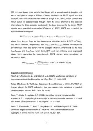 13
600 nm), and longer ones were further filtered with a second spectral detection unit
set at the spectral range of 600nm - 700nm to detect the FRET signal from the
acceptor. Data was analyzed with PixFRET (Feige et al., 2005), which corrects the
FRET signal for spectral bleed-through from the donor channel to the acceptor
channel and for direct acceptor excitation by the laser line used for the donor. FRET
signals were quantified as described (Feige et al., 2005): FRET was corrected for
spectral bleed –through as
𝐹𝑅𝐸𝑇𝐶𝑜𝑟𝑟𝑒𝑐𝑡𝑒𝑑 = 𝐼 𝐹𝑅𝐸𝑇 − 𝐵𝑇𝐷𝑜𝑛𝑜𝑟 × 𝐼 𝐷𝑜𝑛𝑜𝑟 − 𝐵𝑇𝐴𝑐𝑐𝑒𝑝𝑡𝑜𝑟 × 𝐼𝐴 𝑐𝑐𝑒𝑝𝑡𝑜𝑟,
where IDonor, IAcceptor, IFRET are the fluorescence intensities in the AcGFP, mCherry,
and FRET channels, respectively, and BTDonor and BTAcceptor denote the respective
bleed-troughs from the donor and the acceptor channel, determined as the ratio
IFRET/IAcceptor and IFRET/IDonor when Iav-AcGFP and Nan-mCherry were expressed
alone. Upon correction for bleed-through, FRET signals were normalized for
expression levels,
𝐹𝑅𝐸𝑇 𝑁𝑜𝑟𝑚𝑎𝑙𝑖𝑧𝑒𝑑 =
𝐹𝑅𝐸𝑇 𝐶𝑜𝑟𝑟𝑒𝑐𝑡𝑒𝑑
√ 𝐼 𝐷𝑜𝑛𝑜𝑟 𝑥𝐼 𝐴𝑐𝑐𝑒𝑝𝑡𝑜𝑟
× 100 (Xia and Liu, 2001).
Supplemental References
Albert, J.T., Nadrowski, B., and Göpfert, M.C. (2007). Mechanical signatures of
transducer gating in the Drosophila ear. Curr. Biol. 17, 1000–1006.
Feige, J.N., Sage, D., Wahli, W., Desvergne, B., and Gelman, L. (2005). PixFRET, an
ImageJ plug-in for FRET calculation that can accomodate variations in spectral
bleed-throughs. Microsc. Res. Tech. 68, 51-58.
Feng, Y., Ueda, A., and Wu, C.F. (2004). A modified minimal hemolymph-like
solution, HL3.1, for physiological recordings at the neuromuscular junctions of normal
and mutant Drosophila larvae. J. Neurogenet. 18, 377–402.
Iwata, Y., Katanosaka, Y., Arai, Y., Shigekawa, M., and Wakabayashi, S. (2009).
Dominant-negative inhibition of Ca2+
influx via TRPV2 ameliorates muscular
dystrophy in animal models. Hum. Mol. Genet. 18, 824-834.
 