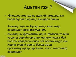 Амьтан ^^ | PPT