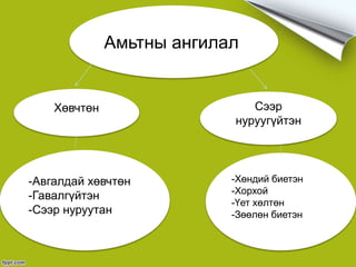 Амьтан ^^ | PPT