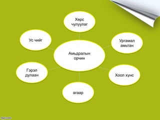 Амьдралын
орчин
Ус чийг
Хөрс
чулуулаг
Ургамал
амьтан
Хоол хүнс
агаар
Гэрэл
дулаан
 