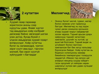 2 нутагтан
• Хуурай газар гарахаар
зориглосон анхны сээр
нуруутны удам. Өнөөг хүртэл
тэд амьдралын хоёр хэлбрийг
дагасаар байна: авгалдай шатаа
усан дотор, бусад бүхий л
үлдсэн амьдралаа хуурай газарт
өнгөрүүлдэг. Хоёр нутагтны
бүлэг нь саламандра, тритон
зэрэг сүүлт амьтдыг, тэрчлэн
мэлхий, бах зэрэг сүүлгүй
зүйлүүдийг ч багтаадаг
Мөлхөгчид
• Энэхүү бүлэгт могой, гүрвэл, матар
болон сөнөсөн үлэг гүрвэлүүд
багтдаг. Мөлхөгчид нь хэд хэдэн
чухал дасан зохицолд орсныхоо
ачаар хуурай газрыг найдвартай
эзлэж чаджээ. Тэдний арьсан дээрх
хайрснууд тэднийг хаталтаас
хамгаалж, уушгийг нь хүчтэй, үр
ашигтай болгожээ. Тэдний өндөг нь
усгүйжилт болон гэмтлээс
хамгаалсан бат бөх хатуу хальсаар
бүрхэгдсэн байдаг. Хоёр нутагтан нь
бодисын солилцооны замаар
биеийнхээ температурыг тохируулж
чаддаггүй. Иймээс тэд халуун цаг
агаарын нөхцөлд сүүдэр хайдагч
гэсэн эрсдлийг үл хайхран наран
шарлагыг хүлээн авч удаан хугацааг
өнгөрүүлдэг
 
