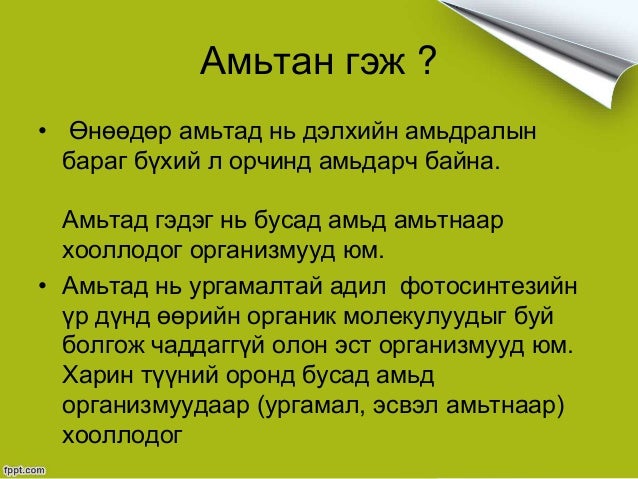 Амьтан