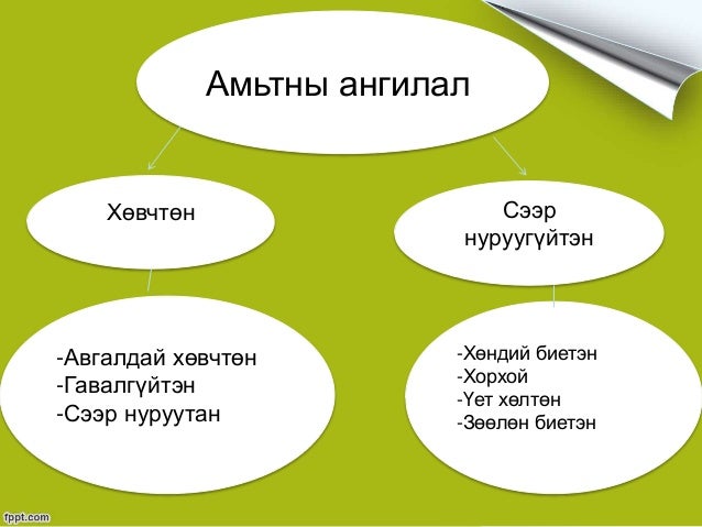 Амьтан