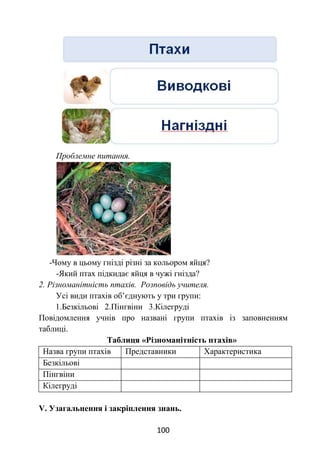 100
Проблемне питання.
-Чому в цьому гнізді різні за кольором яйця?
-Який птах підкидає яйця в чужі гнізда?
2. Різноманітність птахів. Розповідь учителя.
Усі види птахів об’єднують у три групи:
1.Безкільові 2.Пінгвіни 3.Кілегруді
Повідомлення учнів про названі групи птахів із заповненням
таблиці.
Таблиця «Різноманітність птахів»
Назва групи птахів Представники Характеристика
Безкільові
Пінгвіни
Кілегруді
V. Узагальнення і закріплення знань.
 