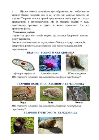 14
- Що ви можете розповісти про зображення, які побачили на
екрані? Важко повірити, що ці всі істоти ми можемо віднести до
царства Тварини. Але насправді представники цього царства є надто
вражаючими і захоплюючими. Ми їх можемо знайти у воді,
повітряному просторі, в грунті, в живих організмах. Це все
вражаюча фауна.
Словникова робота
Фауна—це сукупність видів тварин, що склалася історично і заселяє
певну територію.
Зоологія—це комплексна наука, що всебічно досліджує тварин, їх
історичний розвиток, взаємозв'язок між собою та навколишнім
середовищем.
ТВАРИНИ ВОДНОГО СЕРЕДОВИЩА
Інфузорія -туфелька Актинія кінська П’явка медична
Що спільного у тварин, які мешкають в водному середовищі?
ТВАРИНИ ПОВІТЯНО-НАЗЕМНОГО СЕРЕДОВИЩА
Одуд Їжак Коала
Що спільного у тварин, які мешкають в наземно-повітряному
середовищі?
ТВАРИНИ ҐРУНТОВОГО СЕРЕДОВИЩА
 
