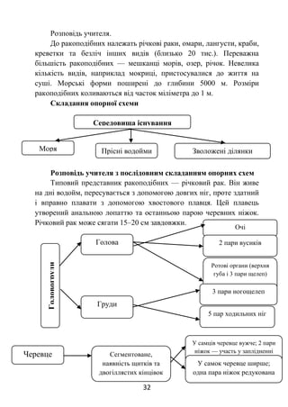 32
Розповідь учителя.
До ракоподібних належать річкові раки, омари, лангусти, краби,
креветки та безліч інших видів (близько 20 тис.). Переважна
більшість ракоподібних — мешканці морів, озер, річок. Невелика
кількість видів, наприклад мокриці, пристосувалися до життя на
суші. Морські форми поширені до глибини 5000 м. Розміри
ракоподібних коливаються від часток міліметра до 1 м.
Складання опорної схеми
Розповідь учителя з послідовним складанням опорних схем
Типовий представник ракоподібних — річковий рак. Він живе
на дні водойм, пересувається з допомогою довгих ніг, проте здатний
і вправно плавати з допомогою хвостового плавця. Цей плавець
утворений анальною лопаттю та останньою парою черевних ніжок.
Річковий рак може сягати 15–20 см завдовжки.
Середовища існування
Моря Прісні водойми Зволожені ділянки
суходолу
Головогруди
Голова
Груди
Очі
2 пари вусиків
Ротові органи (верхня
губа і 3 пари щелеп)
3 пари ногощелеп
5 пар ходильних ніг
Черевце Сегментоване,
наявність щитків та
двогіллястих кінцівок
У самців черевце вужче; 2 пари
ніжок — участь у заплідненні
У самок черевце ширше;
одна пара ніжок редукована
 