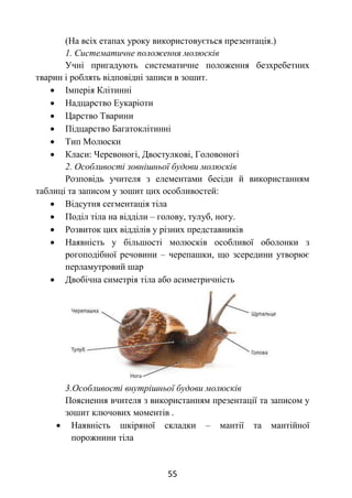 55
(На всіх етапах уроку використовується презентація.)
1. Систематичне положення молюсків
Учні пригадують систематичне положення безхребетних
тварин і роблять відповідні записи в зошит.
 Імперія Клітинні
 Надцарство Еукаріоти
 Царство Тварини
 Підцарство Багатоклітинні
 Тип Молюски
 Класи: Черевоногі, Двостулкові, Головоногі
2. Особливості зовнішньої будови молюсків
Розповідь учителя з елементами бесіди й використанням
таблиці та записом у зошит цих особливостей:
 Відсутня сегментація тіла
 Поділ тіла на відділи – голову, тулуб, ногу.
 Розвиток цих відділів у різних представників
 Наявність у більшості молюсків особливої оболонки з
рогоподібної речовини – черепашки, що зсередини утворює
перламутровий шар
 Двобічна симетрія тіла або асиметричність
3.Особливості внутрішньої будови молюсків
Пояснення вчителя з використанням презентації та записом у
зошит ключових моментів .
 Наявність шкіряної складки – мантії та мантійної
порожнини тіла
 
