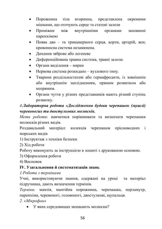56
 Порожнина тіла вторинна, представлена окремими
мішками, що оточують серце та статеві залози
 Проміжки між внутрішніми органами заповнені
паренхімою
 Поява дво – та трикамерного серця, аорти, артерій, вен;
кровоносна система незамкнена.
 Дихання зяброве або легеневе
 Диференційована травна система, травні залози.
 Органи виділення – нирки
 Нервова система розкидано – вузлового типу.
 Тварини роздільностатеві або гермафродити, із зовнішнім
або внутрішнім заплідненням, прямим розвитком або
непрямим.
 Органи чуття у різних представників мають різний ступінь
розвитку.
4.Лабораторна робота «Дослідження будови черепашок (мушлі)
черевоногих та двостулкових молюсків.
Мета роботи: навчитися порівнювати та визначати черепашки
молюсків різних видів.
Роздавальний матеріал: колекція черепашок прісноводних і
морських видів
1) Інструктаж з техніки безпеки
2) Хід роботи
Роботу виконують за інструкцією в зошиті з друкованою основою.
3) Оформлення роботи
4) Висновок
ІV. Узагальнення й систематизація знань
1.Робота з термінами
Учні, використовуючи знання, одержані на уроці та матеріал
підручника, дають визначення термінів.
Терміни: мантія, мантійна порожнина, черепашка, перламутр,
паренхіма, черевоногі, головоногі, двостулкові, щупальця.
2. «Мікрофон»
 У яких середовищах мешкають молюски?
 