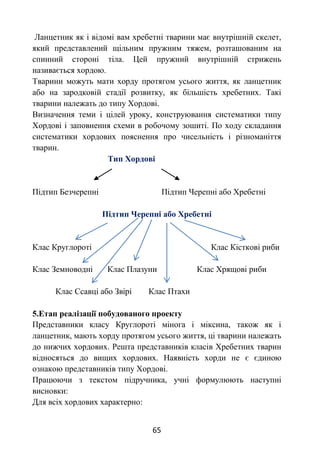 65
Ланцетник як і відомі вам хребетні тварини має внутрішній скелет,
який представлений щільним пружним тяжем, розташованим на
спинний стороні тіла. Цей пружний внутрішній стрижень
називається хордою.
Тварини можуть мати хорду протягом усього життя, як ланцетник
або на зародковій стадії розвитку, як більшість хребетних. Такі
тварини належать до типу Хордові.
Визначення теми і цілей уроку, конструювання систематики типу
Хордові і заповнення схеми в робочому зошиті. По ходу складання
систематики хордових пояснення про чисельність і різноманіття
тварин.
Тип Хордові
Підтип Безчерепні Підтип Черепні або Хребетні
Підтип Черепні або Хребетні
Клас Круглороті Клас Кісткові риби
Клас Земноводні Клас Плазуни Клас Хрящові риби
Клас Ссавці або Звірі Клас Птахи
5.Етап реалізації побудованого проекту
Представники класу Круглороті мінога і міксина, також як і
ланцетник, мають хорду протягом усього життя, ці тварини належать
до нижчих хордових. Решта представників класів Хребетних тварин
відносяться до вищих хордових. Наявність хорди не є єдиною
ознакою представників типу Хордові.
Працюючи з текстом підручника, учні формулюють наступні
висновки:
Для всіх хордових характерно:
 