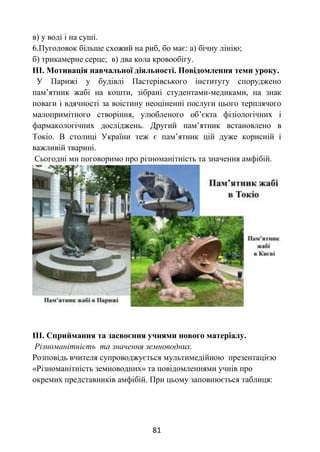 81
в) у воді і на суші.
6.Пуголовок більше схожий на риб, бо має: а) бічну лінію;
б) трикамерне серце; в) два кола кровообігу.
ІІІ. Мотивація навчальної діяльності. Повідомлення теми уроку.
У Парижі у будівлі Пастерівського інституту споруджено
пам’ятник жабі на кошти, зібрані студентами-медиками, на знак
поваги і вдячності за воістину неоціненні послуги цього терплячого
малопримітного створіння, улюбленого об’єкта фізіологічних і
фармакологічних досліджень. Другий пам’ятник встановлено в
Токіо. В столиці України теж є пам’ятник цій дуже корисній і
важливій тварині.
Сьогодні ми поговоримо про різноманітність та значення амфібій.
ІІІ. Сприймання та засвоєння учнями нового матеріалу.
Різноманітність та значення земноводних.
Розповідь вчителя супроводжується мультимедійною презентацією
«Різноманітність земноводних» та повідомленнями учнів про
окремих представників амфібій. При цьому заповнюється таблиця:
 
