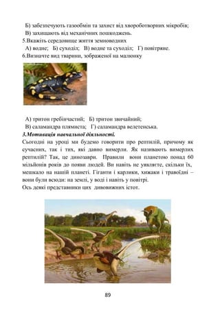 89
Б) забезпечують газообмін та захист від хвороботворних мікробів;
В) захищають від механічних пошкоджень.
5.Вкажіть середовище життя земноводних
А) водне; Б) суходіл; В) водне та суходіл; Г) повітряне.
6.Визначте вид тварини, зображеної на малюнку
А) тритон гребінчастий; Б) тритон звичайний;
В) саламандра плямиста; Г) саламандра велетенська.
3.Мотивація навчальної діяльності.
Сьогодні на уроці ми будемо говорити про рептилій, причому як
сучасних, так і тих, які давно вимерли. Як називають вимерлих
рептилій? Так, це динозаври. Правили вони планетою понад 60
мільйонів років до появи людей. Ви навіть не уявляєте, скільки їх,
мешкало на нашій планеті. Гіганти і карлики, хижаки і травоїдні –
вони були всюди: на землі, у воді і навіть у повітрі.
Ось деякі представники цих дивовижних істот.
 
