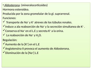 • Aldosterona: (mineralocorticoides)
Hormona esteroidea.
Producida por la zona gromelular de la gl. suprarrenal.
Funciones:
 Transporte de Na+
y K+
atreves de los túbulos renales.
Induce a ala reabsorción de Na+
y la secreción simultanea de K+
.
Conserva el Na+
en el L.E y secreta K+
a la orina.
 La reabsorción de Na+
y H2O.
Regulación:
Aumento de la [K+
] en el L.E
Angiotensina II provoca el aumento de Aldosterona.
Disminución de la [Na+
] L.E
 