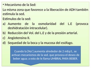 • Mecanismo de la Sed:
La misma zona que favorece a la liberación de ADH también
estimula la sed.
Estímulos de la sed:
a) Aumento de la osmolaridad del L.E (provoca
deshidratación intracelular).
b) Reducción del Vol. del L.E y de la presión arterial.
c) Angiotensina II.
d) Sequedad de la boca y la mucosa del esófago.
Cuando la [Na+
] aumenta alrededor de 2 mEq/L, se
activan mecanismos de la sed. que provoca el deseo de
beber agua; a esto de le llama UMBRAL PARA BEBER.
 