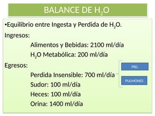 BALANCE DE H2O
•Equilibrio entre Ingesta y Perdida de H2O.
Ingresos:
Alimentos y Bebidas: 2100 ml/día
H2O Metabólica: 200 ml/día
Egresos:
Perdida Insensible: 700 ml/día
Sudor: 100 ml/día
Heces: 100 ml/día
Orina: 1400 ml/día
PIEL
PULMONES
 