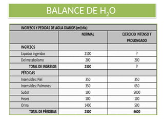 BALANCE DE H2O
 