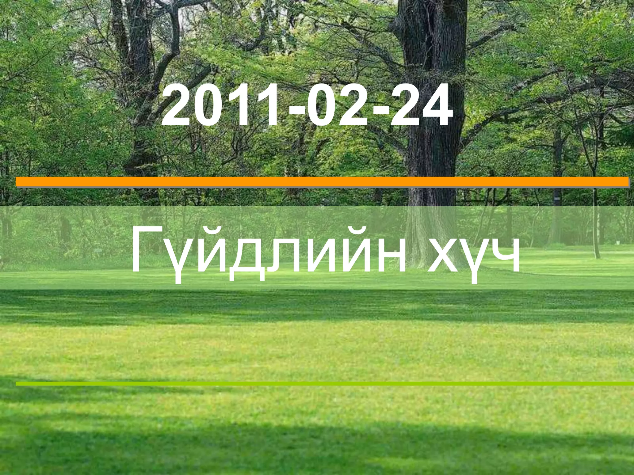 Гүйдлийн хүч 2011-02-24