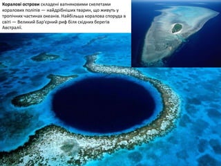 Коралові острови складені вапняковими скелетами
коралових поліпів — найдрібніших тварин, що живуть у
тропічних частинах океанів. Найбільша коралова споруда в
світі — Великий Бар'єрний риф біля східних берегів
Австралії.
 