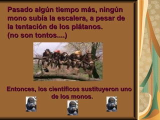 Pasado algún tiempo más, ningún
mono subía la escalera, a pesar de
la tentación de los plátanos.
(no son tontos....)




Entonces, los científicos sustituyeron uno
               de los monos.
 
