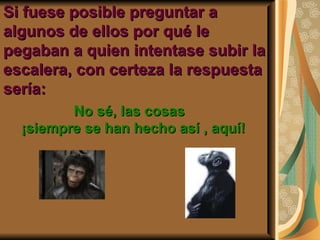 Si fuese posible preguntar a
algunos de ellos por qué le
pegaban a quien intentase subir la
escalera, con certeza la respuesta
sería:
         No sé, las cosas
  ¡siempre se han hecho así , aquí!
 