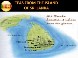 TEAS FROM THE ISLAND
OF SRI LANKA
 