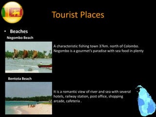 Tourist Places
• Beaches
Negombo Beach
A characteristic fishing town 37km. north of Colombo.
Negombo is a gourmet's paradise with sea food in plenty
Bentota Beach
It is a romantic view of river and sea with several
hotels, railway station, post office, shopping
arcade, cafeteria .
 