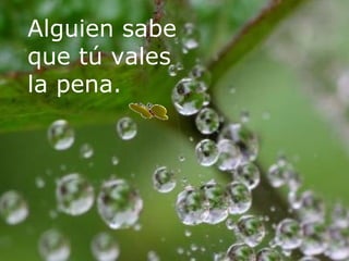 Alguien sabe que tú vales la pena. 