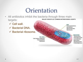 Orientation
• All antibiotics inhibit the bacteria through three main
targets:
 Cell wall.
 Bacterial DNA.
 Bacterial ribosome.
1
 