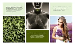 Nosso crescimento físico, cicatrização,
digestão, reprodução, resistência a
doenças, paladar e olfato são possíveis
graças ao trabalho do zinco em parceria
com as enzimas e outros nutrientes
presentes no organismo.

O zinco também é responsável por manter
nossos cabelos, unhas e pele mais
saudáveis. Você pode encontrá-lo em
xampus, esmaltes e cremes.

Aliado a outros minerais como o cobre
e o selênio, o zinco atua no equilíbrio
e no funcionamento da tireoide,
que regula as atividades hormonais
e metabólicas do corpo humano.

 