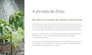 A jornada do Zinco
No solo e na nutrição das plantas e dos animais
Nesta cadeia vital, em que o zinco participa ativamente com os seus atributos, tudo está
conectado. Depois da exploração mineral, o zinco se estende em diversos segmentos, entre
eles o da agricultura. Neste segmento, ele é um nutriente adicionado às rações animais
e no solo, até chegar à mesa das pessoas, estando presente em carnes, verduras e frutas.
No entanto, a deficiência de zinco é um dos principais problemas enfrentados pelo setor
agrícola em todo o mundo, resultando em perdas significativas na produção
e na qualidade dos alimentos.
Consequentemente, essa situação global desencadeia outros problemas ainda mais sérios,
como problemas no desenvolvimento, no sistema imunológico, entre outras patologias
que acometem a saúde das pessoas e dos animais.

 